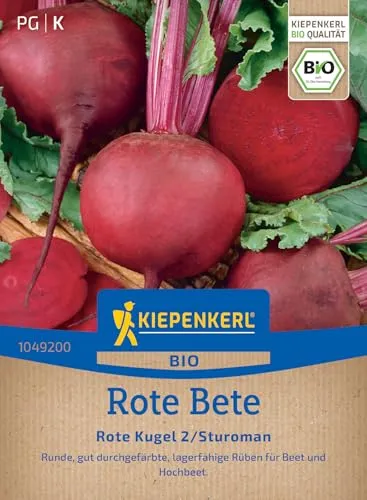 Kiepenkerl Rote Betesamen Rote Kugel 2/Sturoman 1049200 - BIO Rote Bete Samen für Beet & Hochbeet, gleichmäßig runde dunkelrote Rüben, lagerfähig, Gemüsesamen Rübensamen