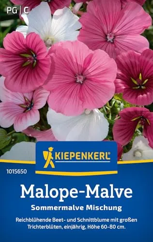 Kiepenkerl Malope-Malvensamen Sommermalve Mischung 1015650 - Einjährige Blumensamen mit einer Wuchshöhe von 60 bis 80cm und Inhalt für 50 Pflanzen - Saatgut