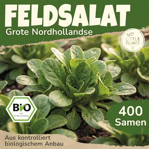 Saatgut von Little Plants