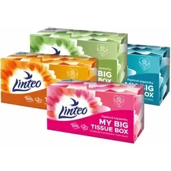 Linteo Paper Tissues Two-ply Paper, 200 pcs per box Papiertaschentücher 200 St.