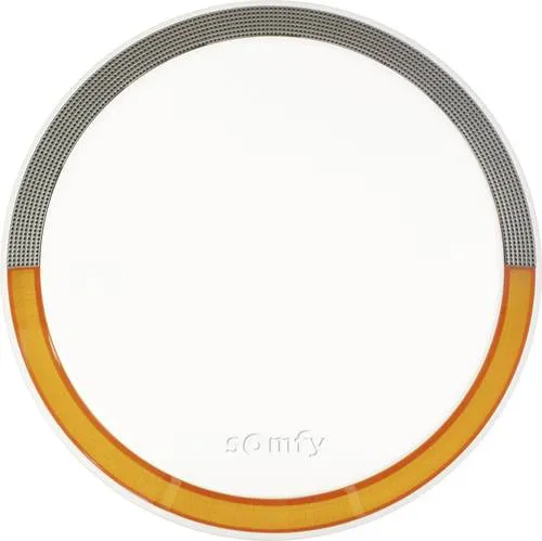 Somfy Funk-Außensirene Home Alarm 2401491 - Sirene mit 112 dB Alarmton und zusätzlichem Blitzlicht für effektive Einbruchsprävention im Außenbereich.