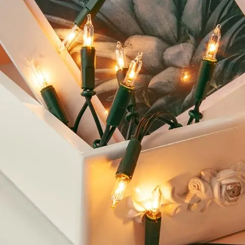 hellum Mini Lichterkette innen mit Stecker - Dekorative Lichterkette mit 10 klaren Echtglasbirnen, 4,35m lang, ideal für gemütliche Wohnatmosphäre und saisonale Dekoration. Nachhaltig ohne Batterien, inklusive Ersatzbirnen.