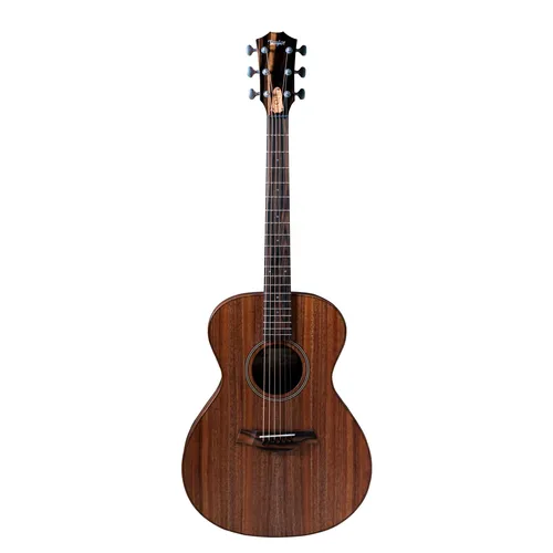 Taylor Jacob Collier Sign. JCSM-6 von Taylor