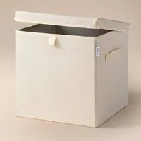 LIFENEY Aufbewahrungsbox mit Deckel in Beige - Faltbare Spielzeugbox für Kinderzimmer, robust und pflegeleicht, ideal für Kallax Regale – bietet viel Stauraum für Spielzeug und Bastelsachen.