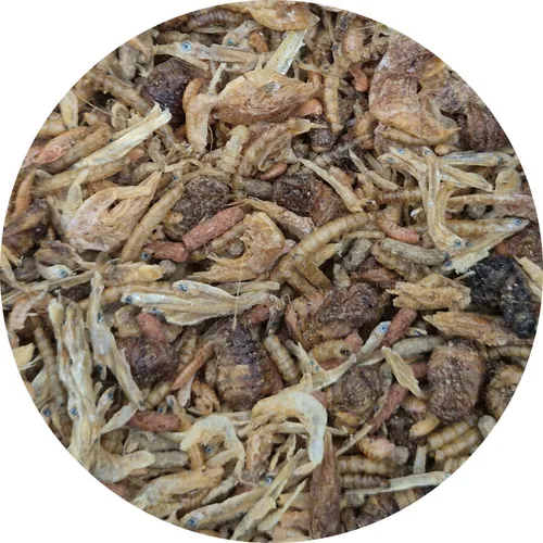 Reptilienmix aus 8 Sorten Trockenfutter Reptilienfutter Schildkrötenfutter 3 l