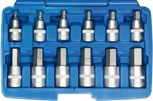 SW-Stahl 04950L Schraubendreheinsätze, 1/2, Innensechskant, 5-22 mm, 12-teilig I Sechskant-Bit-Set HRC55 I Steckschlüsselsatz 6150-Stahl I metrische Schraubendrehereinsätze