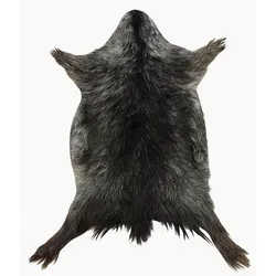 Leder & Vinyl Grau von Provellus