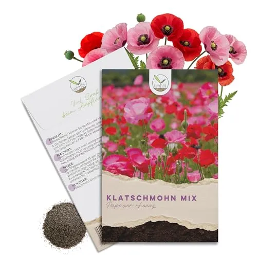 Klatschmohn Samen (Papaver rhoeas) - Wunderschön blühende Mohnblumen mit langer Blütezeit für eine bunte Blumenwiese (Mix)