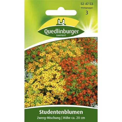 Produktbild Studentenblume, Zwerg-Mischung
