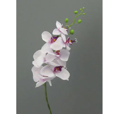 Kunstorchidee Kunstblume Phalaenopsis 86cm. Orchidee, Orchideentrieb., Gasper, Höhe 86.00 cm