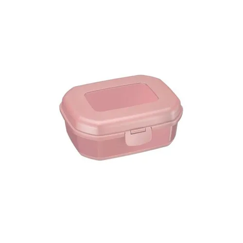 SNACKBOX MAXI 935 ML ROSA VON WESTMARK NEU