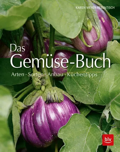 Das Gemüse-Buch Neu