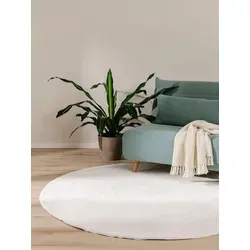 benuta Basic Kunstfaser Fellteppich Furry - Creme Rund 160 cm - Teppich für Wohnzimmer, extrem weich und pflegeleicht, ideal für Fußbodenheizung und mit Anti-Rutsch-Rückseite für höchste Sicherheit.