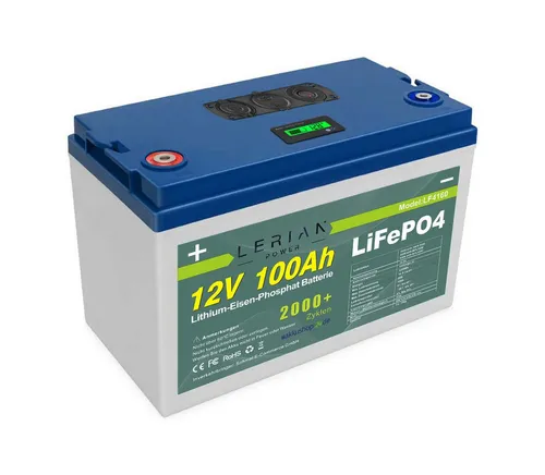 LERIAN POWER LiFePO4 Akku 12V 100Ah 100A