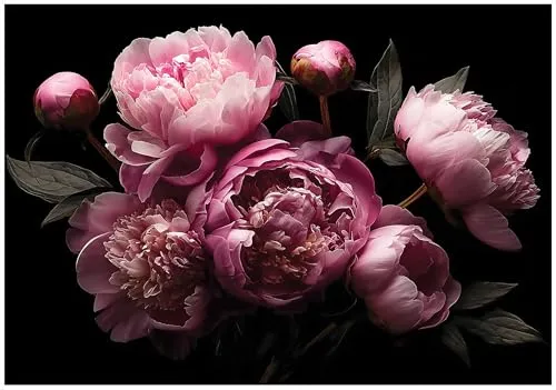 WallArena Vlies Fototapete Pfingstrosen 200x140 cm in pink von Wallarena