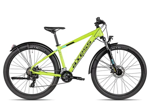 Axess Mountainbike SANDEE ATB – 16 Gang Shimano, grün von Axess