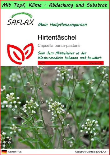 SAFLAX Blumensamen SAFLAX - Garden to go - Hirtentäschel