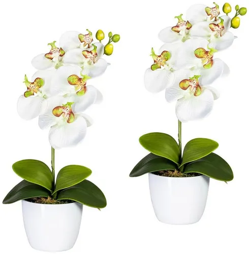 Kunstpflanze Orchidee Phalaenopsis Orchidee, Creativ green, Höhe 40 cm, im Keramiktopf