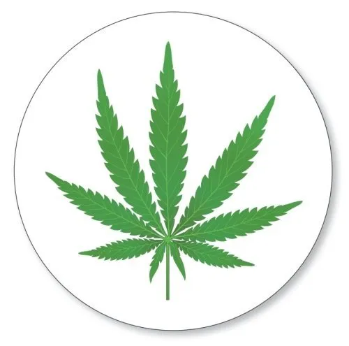 LYSCO 12 X Aufkleber Hanf Cannabis rund Ø 30 mm, Folienaufkleber Hanfblatt grün weiß (Auf-522k)