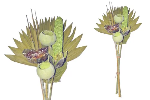 Trockenblume Grabstrauß BOHO Style Exotic Palmspear kiwi 60cm Exoten Grabdeko, finehomegarden, Höhe 60 cm, Grabgestecke Alleheiligen Totensontag Trockenstrauß
