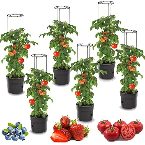 botle 6X Tomatenpflanze Blumentopf Set - Garten-Zubehör Set mit 6 witterungsbeständigen Blumentöpfen, ideal für sicheres Wachstum von Tomaten mit integriertem Bewässerungssystem und Entwässerungslöchern.