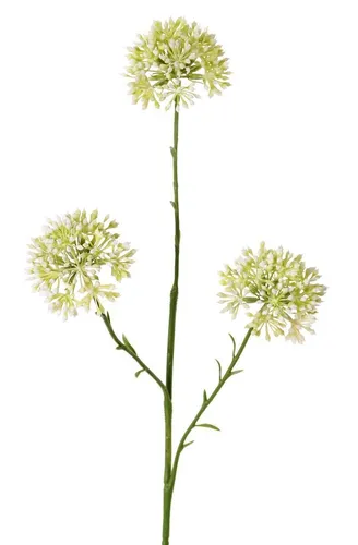 artplants Kunstzweig Allium ALIKIO, weiß, 65cm, Ø6,5cm