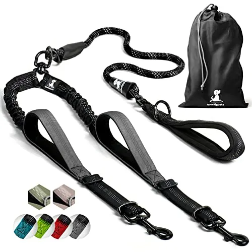 Hundeleine für 2 Hunde mit Bungee Verlängerung für Große und Mittelgroße Hunde mit Ruckdämpfer | Reflektierende Elastische Hundeleine zum Spazierengehen (Schwarz)
