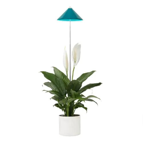 Parus by Venso SUNLiTE LED Pflanzenlampe 7W Petrol - Blumensamen & -pflanzen: 7W Wachstumslampe mit 4m Kabellänge für optimale Flexibilität und gesundes Pflanzenwachstum, ideal für alle Pflanzenarten.