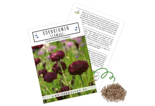 HappySeed Blumensamen Kornblumen Samen (Centaurea cyanus) in schwarz von HappySeed