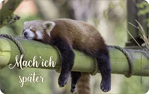 Fun - Frühstücksbrettchen - Guten Morgen