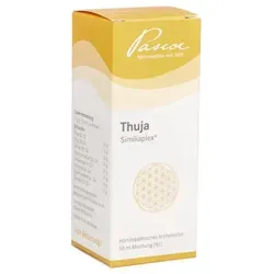 Thuja Similiaplex Mischung