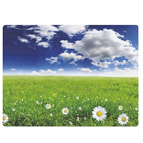 ANRO Bodenschutzmatte Bürostuhl große Unterlage Schreibtischstuhl Stuhlmatte Fussbodenschutz rutschfest Kratzfest für Parkett Hartböden Frühling 90x120cm