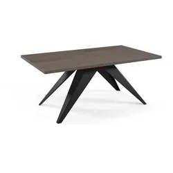 Feldmann-Wohnen Esstisch aus Eiche, Rechteckig, 90x76x160 cm