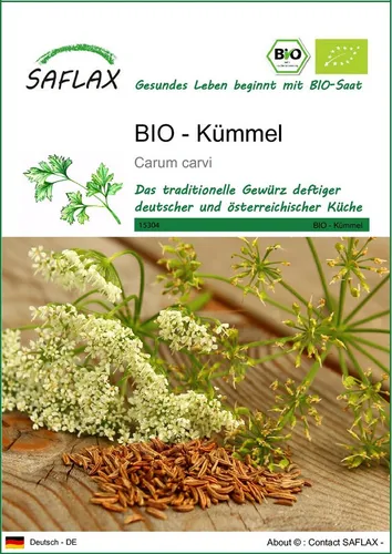 SAFLAX Kräutersamen SAFLAX - Samen - BIO - Kümmel