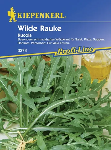 Kiepenkerl Rucula Wilde Rauke ca. 100 Pflanzen