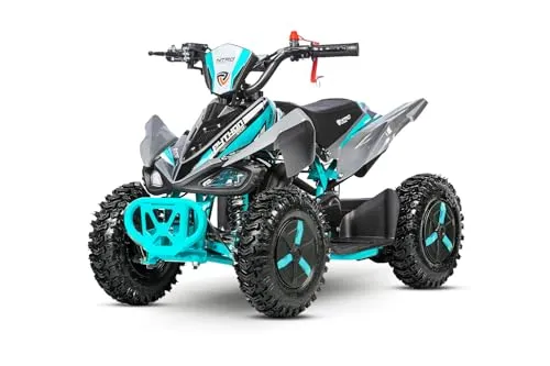 Smarty Elektro-Kinderquad 49cc mini Kinder Quad Python Snowy