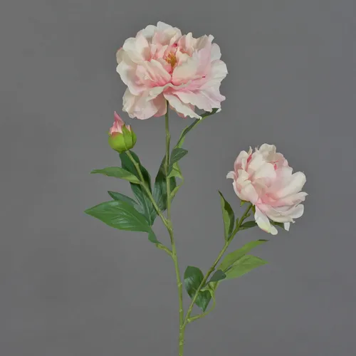 artplants Textilblume Pfingstrose Onyx, Creme-rosa, 70cm, Ø10-13cm