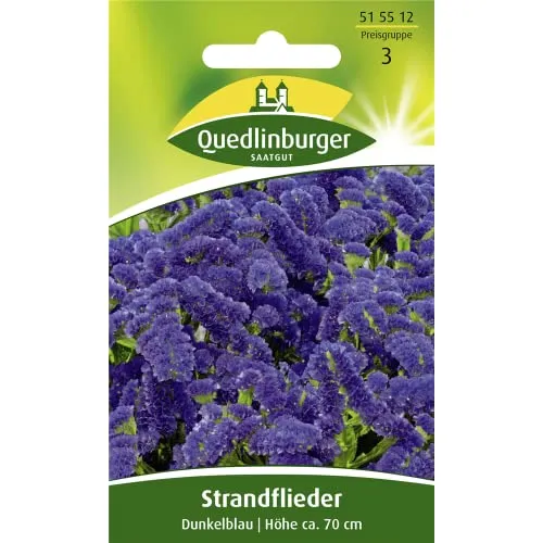 Strandflieder, Dunkelblau von Quedlinburger