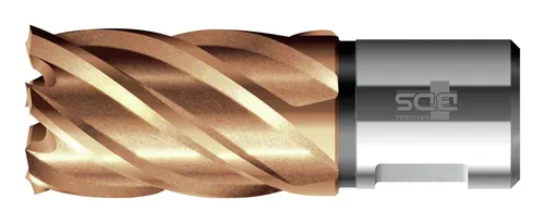 BDS Kernbohrer VARIOPlus kurz KBK HSS Schaft Weldon 30/30 mm - KBK-VP 030 - Kernbohrer für präzise Bohrungen, HSS Material für hohe Standzeit und Effizienz bei Metallarbeiten.