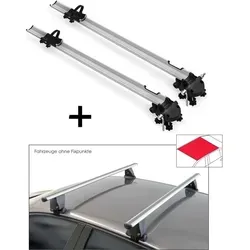 2x Fahrradträger Bike Pro + Dachträger VDP Delta kompatibel mit DR dr 3