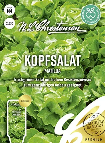 Kopfsalat Matilda Samen, Saatgut