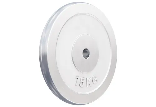 GORILLA SPORTS Hantelscheiben 15 KG, Gewichtsscheiben für effektives Krafttraining - Hanteln & Gewichte, Gewichtsscheiben aus Chrom mit 30/31mm Bohrung, ideal für Kurzhanteln und Hantel-Sets, perfekte Gewichtswahl für dein Training.