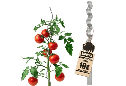BigDean Rankgitter Tomatenspiralstäbe 110cm verzinkt Rankstab Ranke Pflanzstab Set, 10 St., Tomatenstäbe, Spiralstab, Mit Bindeloch