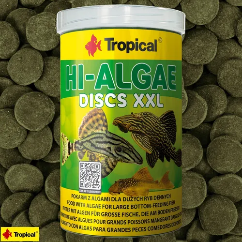 Tropical Hi-Algae Discs XXL 1L (1000ml) Welsfutter Futtertabletten