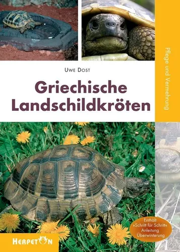 Griechische Landschildkröten Uwe Dost
