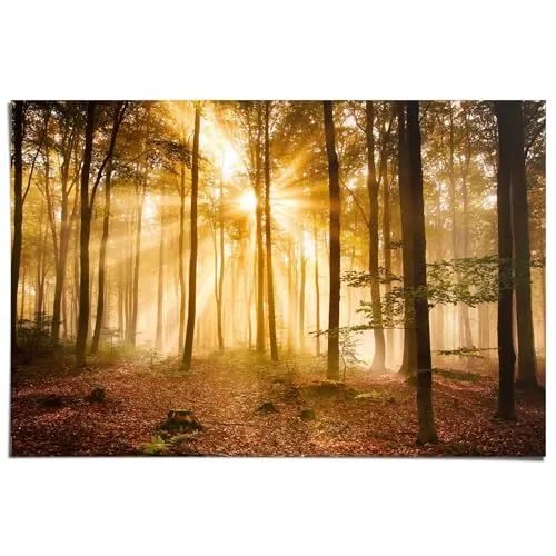 REINDERS Poster, Enlightened Forest, Schlafzimmer, Poster, Wanddeko, Room Decor, Bilderdruckpapier, Braun, 61 x 91,5