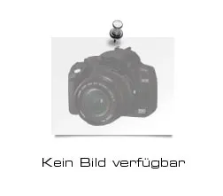 WD Ultrastar DC HC555 16 TB - Hochleistungs-Festplatte - Datacenter-Festplatte mit 16 TB, 7200 rpm und SAS 12Gb/s für hohe Datenverfügbarkeit und Zuverlässigkeit in Unternehmensanwendungen.