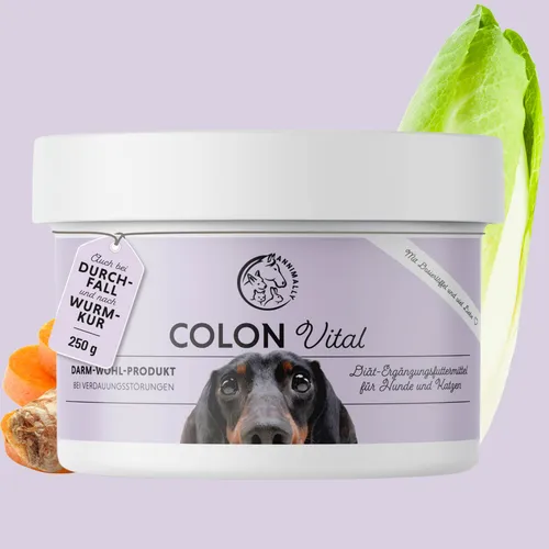 Annimally Colon Darmkur Pulver 250g Darmsanierung Hund Probiotika & Präbiotika