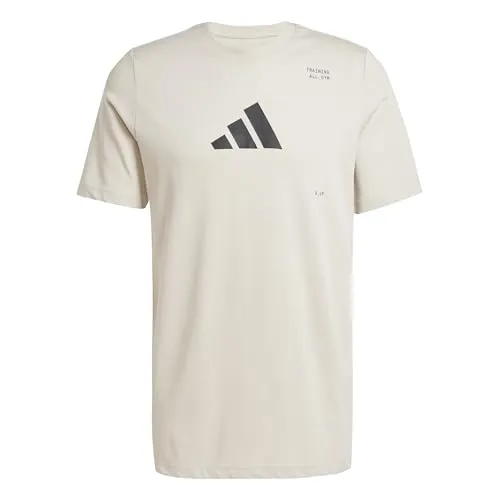 Adidas Herren AEROREADY All-Gym Category Graphic Tee, Wonder Alumina, XL
