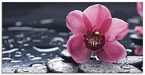 ARTland Wanddeko Glasbilder Wandbild Glas Bild einteilig 60x30 cm Querformat Asien Natur Botanik Blumen Blüten Orchideen Zen Entspannung Pink T9MN